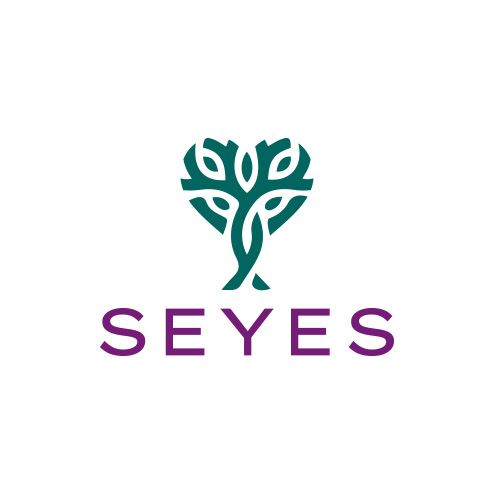 Seyes