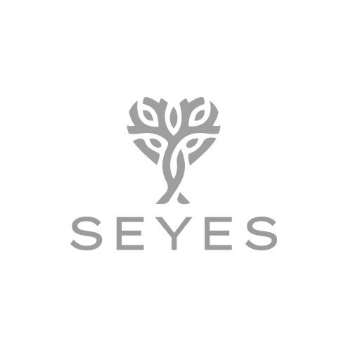 Seyes